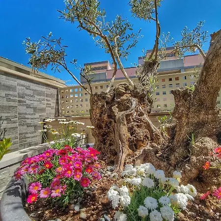 5 Guest house